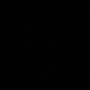 Meet your Posher, Shyanna